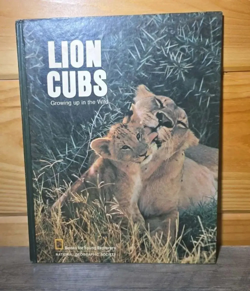 Lion Cubs Growing up in the Wild National Geographic Society HB 1972